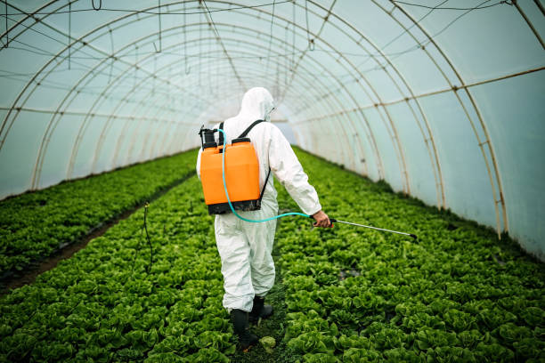 Best Pest Removal Services  in Rocky Top, TN