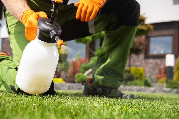 Best Residential Pest Control  in Rocky Top, TN