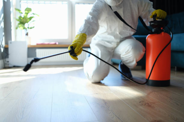Pest Control Cost in Rocky Top, TN