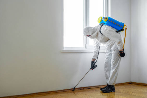 Professional Pest Control in Rocky Top, TN